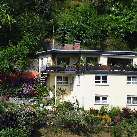 Ferienwohnung Haus Am Sommerberg Ludwigsstadt Esterno foto