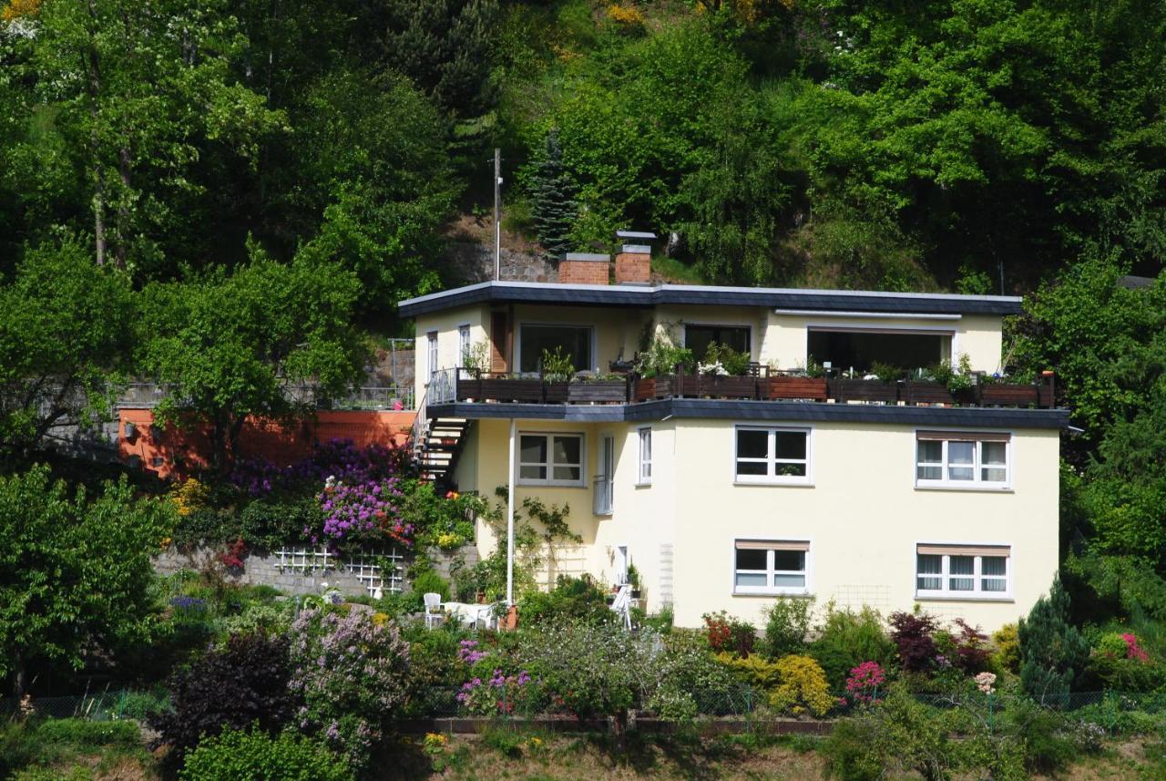 Ferienwohnung Haus Am Sommerberg Ludwigsstadt Esterno foto